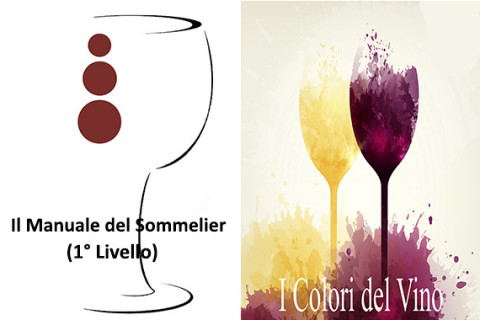 Libro di Testo e I Colori del Vino