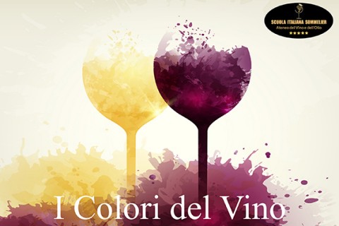 I Colori del Vino